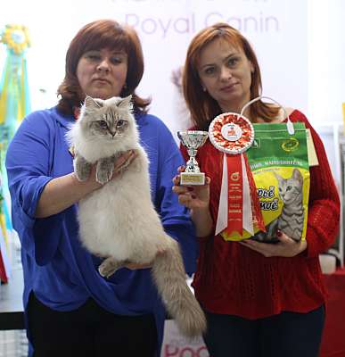 �������� ����� 11-12 ������ 2015, ������������ ���  sib-178-169A5073 copy.jpg